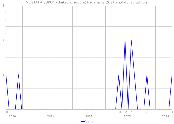 MUSTAFA SURUN (United Kingdom) Page visits 2024 