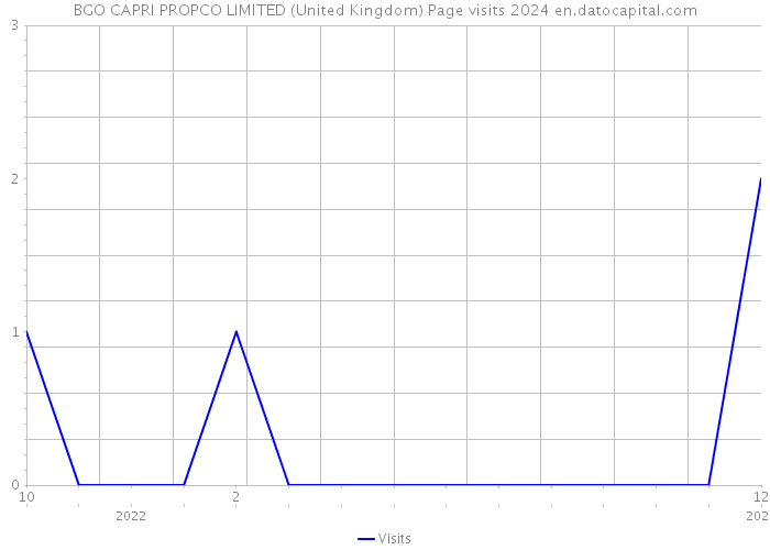 BGO CAPRI PROPCO LIMITED (United Kingdom) Page visits 2024 
