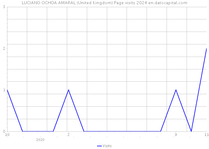 LUCIANO OCHOA AMARAL (United Kingdom) Page visits 2024 