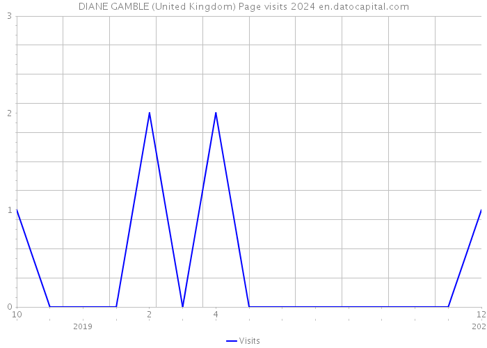 DIANE GAMBLE (United Kingdom) Page visits 2024 