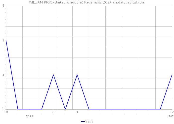 WILLIAM RIGG (United Kingdom) Page visits 2024 