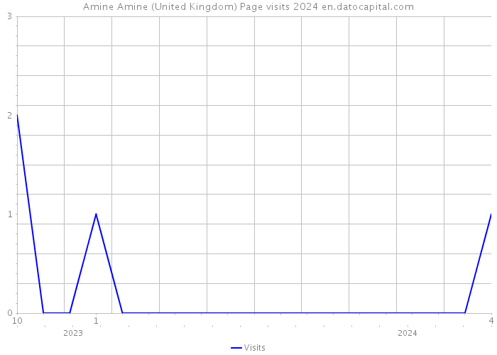 Amine Amine (United Kingdom) Page visits 2024 