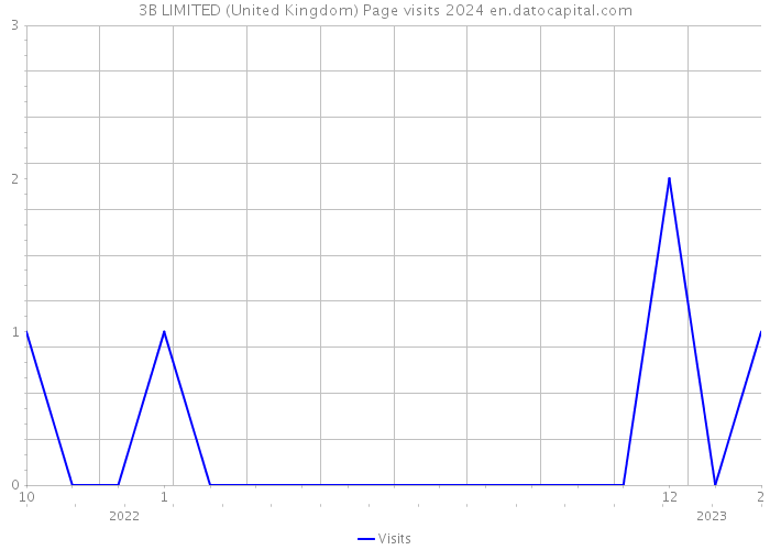 3B LIMITED (United Kingdom) Page visits 2024 