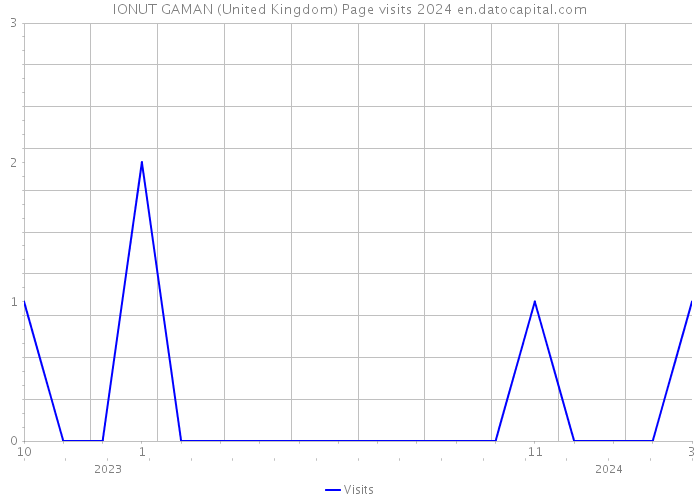 IONUT GAMAN (United Kingdom) Page visits 2024 