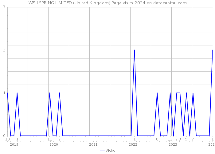 WELLSPRING LIMITED (United Kingdom) Page visits 2024 