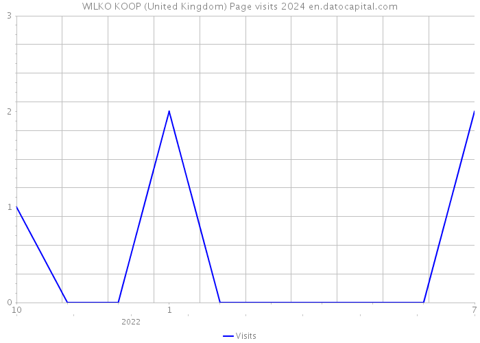 WILKO KOOP (United Kingdom) Page visits 2024 