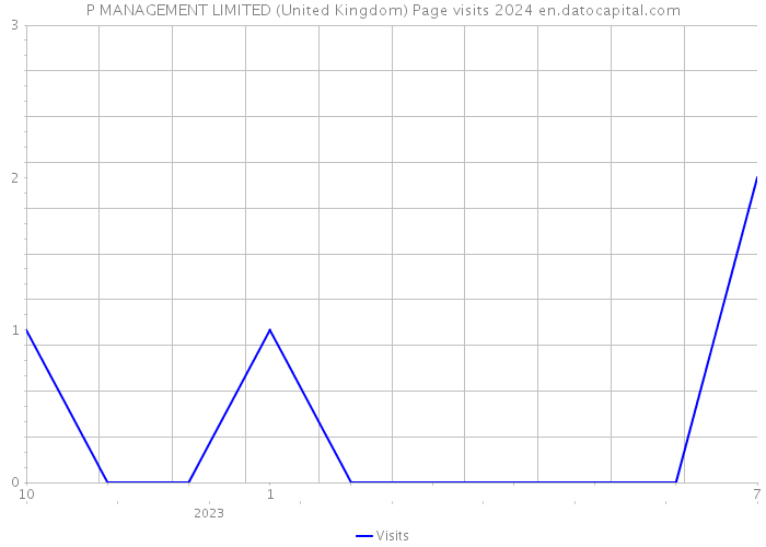 P MANAGEMENT LIMITED (United Kingdom) Page visits 2024 