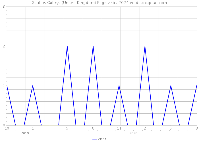 Saulius Gabrys (United Kingdom) Page visits 2024 