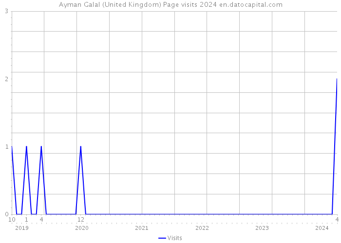 Ayman Galal (United Kingdom) Page visits 2024 
