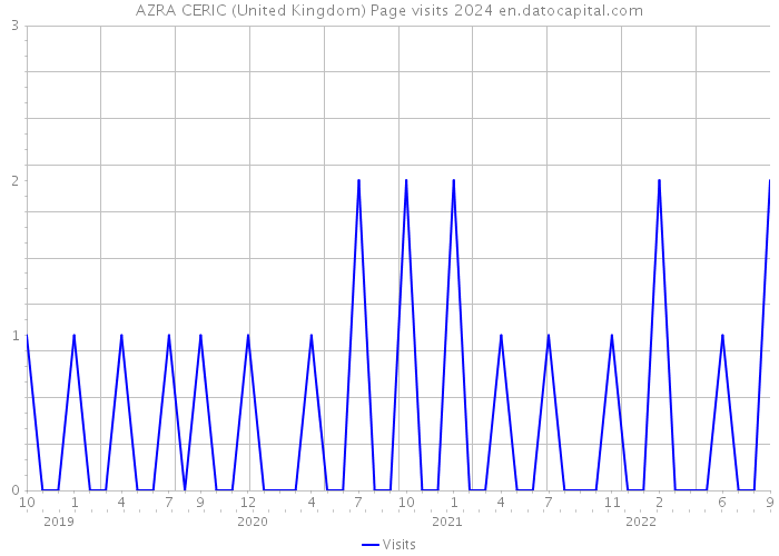 AZRA CERIC (United Kingdom) Page visits 2024 