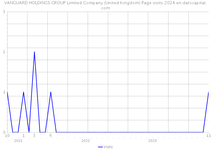 VANGUARD HOLDINGS GROUP Limited Company (United Kingdom) Page visits 2024 