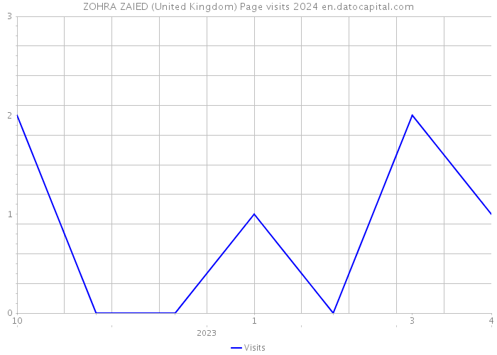 ZOHRA ZAIED (United Kingdom) Page visits 2024 
