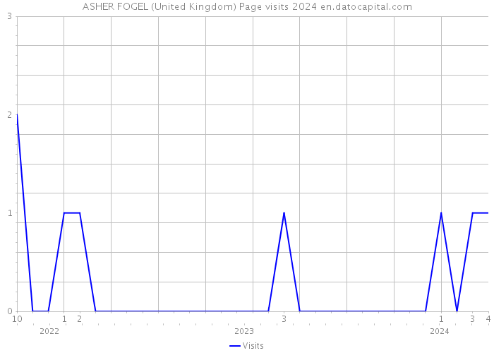 ASHER FOGEL (United Kingdom) Page visits 2024 