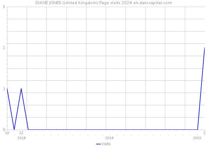 DIANE JONES (United Kingdom) Page visits 2024 
