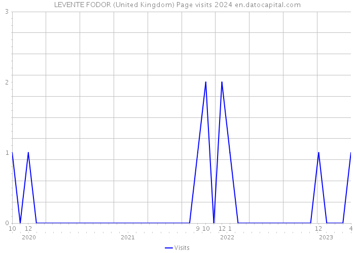LEVENTE FODOR (United Kingdom) Page visits 2024 