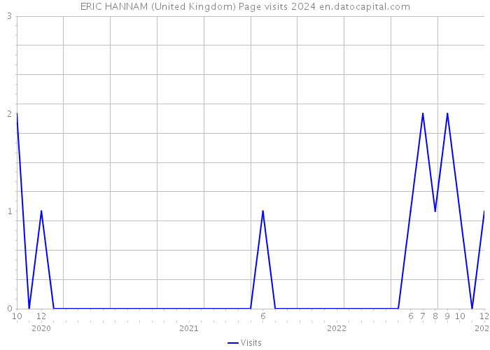 ERIC HANNAM (United Kingdom) Page visits 2024 