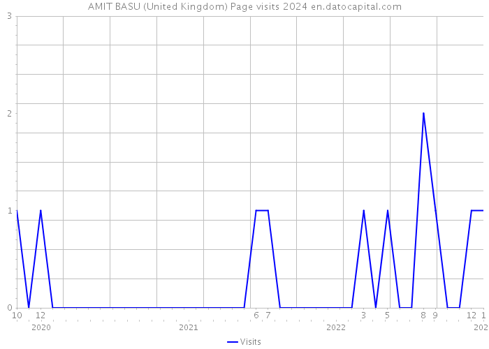AMIT BASU (United Kingdom) Page visits 2024 