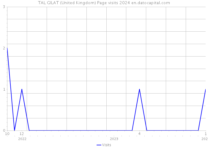 TAL GILAT (United Kingdom) Page visits 2024 