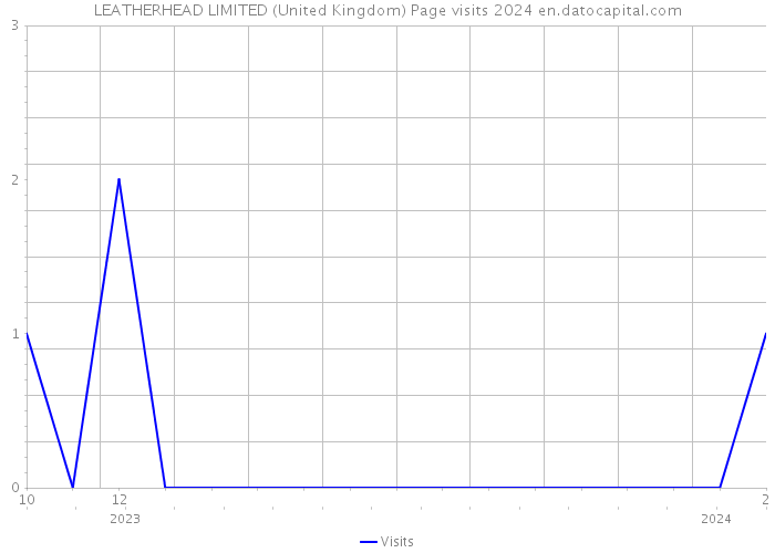 LEATHERHEAD LIMITED (United Kingdom) Page visits 2024 