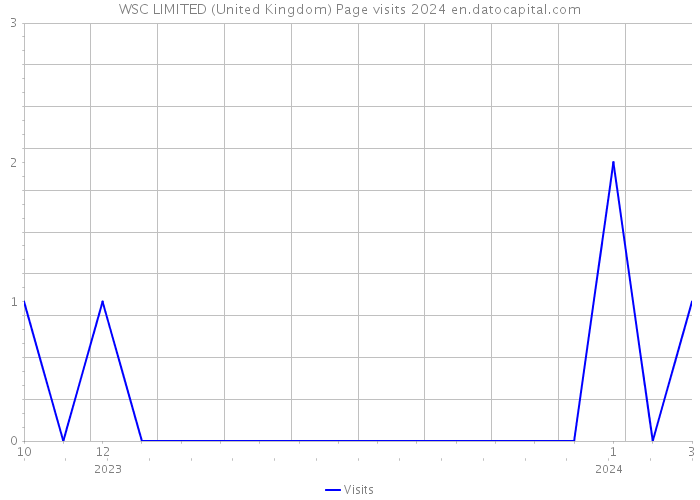 WSC LIMITED (United Kingdom) Page visits 2024 