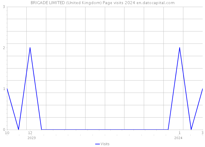 BRIGADE LIMITED (United Kingdom) Page visits 2024 