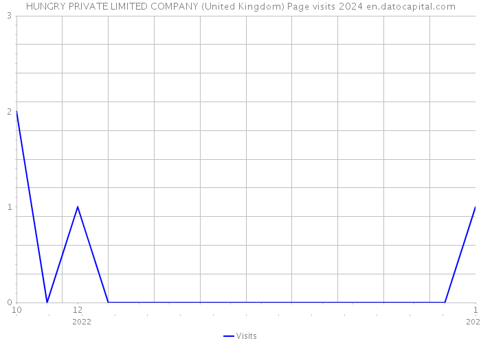 HUNGRY PRIVATE LIMITED COMPANY (United Kingdom) Page visits 2024 