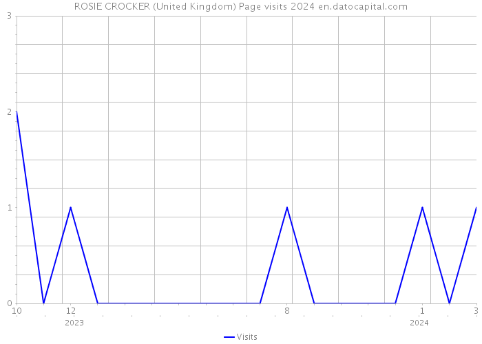 ROSIE CROCKER (United Kingdom) Page visits 2024 