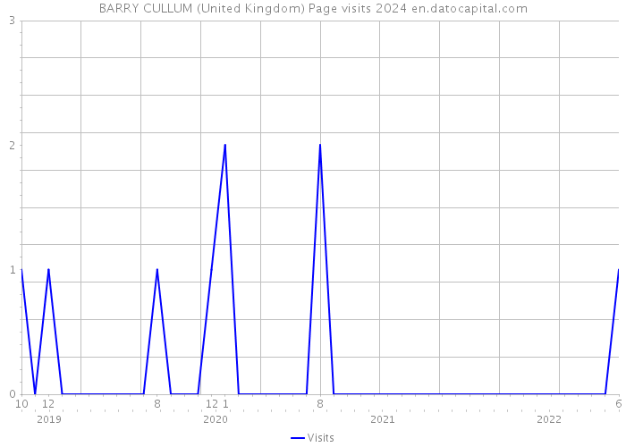 BARRY CULLUM (United Kingdom) Page visits 2024 