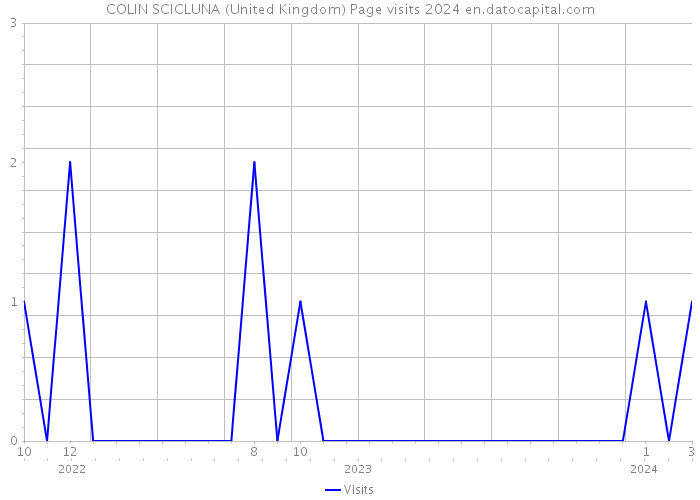 COLIN SCICLUNA (United Kingdom) Page visits 2024 
