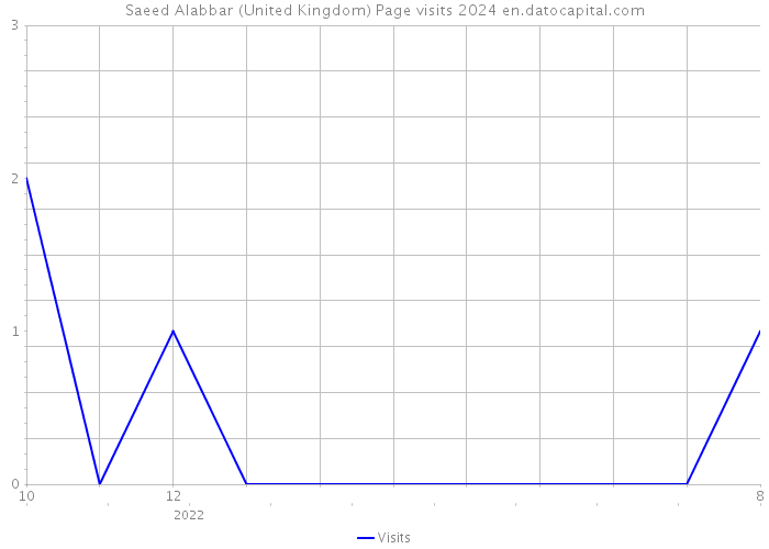 Saeed Alabbar (United Kingdom) Page visits 2024 