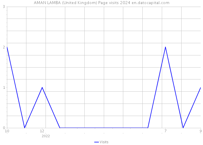 AMAN LAMBA (United Kingdom) Page visits 2024 