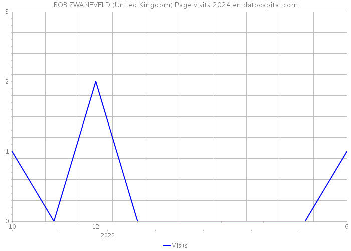 BOB ZWANEVELD (United Kingdom) Page visits 2024 