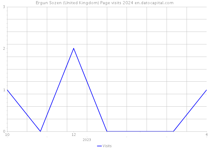 Ergun Sozen (United Kingdom) Page visits 2024 