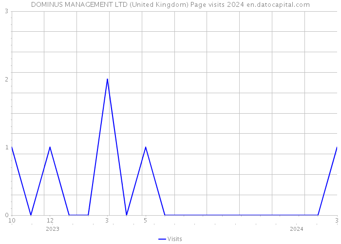DOMINUS MANAGEMENT LTD (United Kingdom) Page visits 2024 