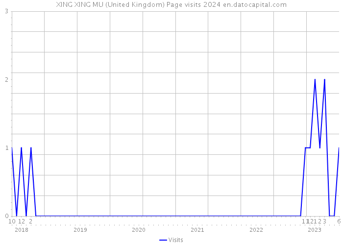 XING XING MU (United Kingdom) Page visits 2024 