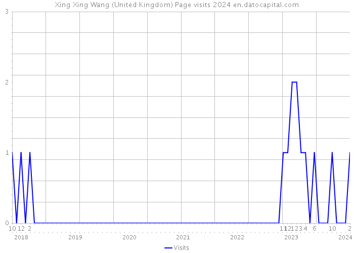 Xing Xing Wang (United Kingdom) Page visits 2024 