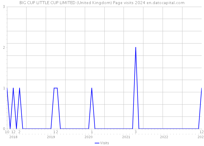 BIG CUP LITTLE CUP LIMITED (United Kingdom) Page visits 2024 