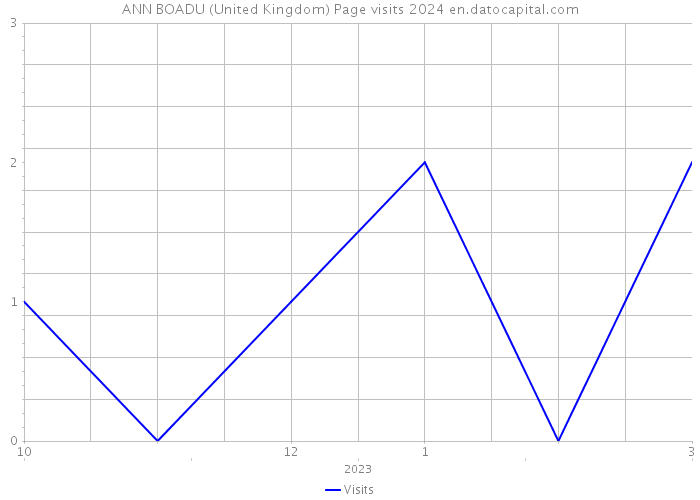 ANN BOADU (United Kingdom) Page visits 2024 