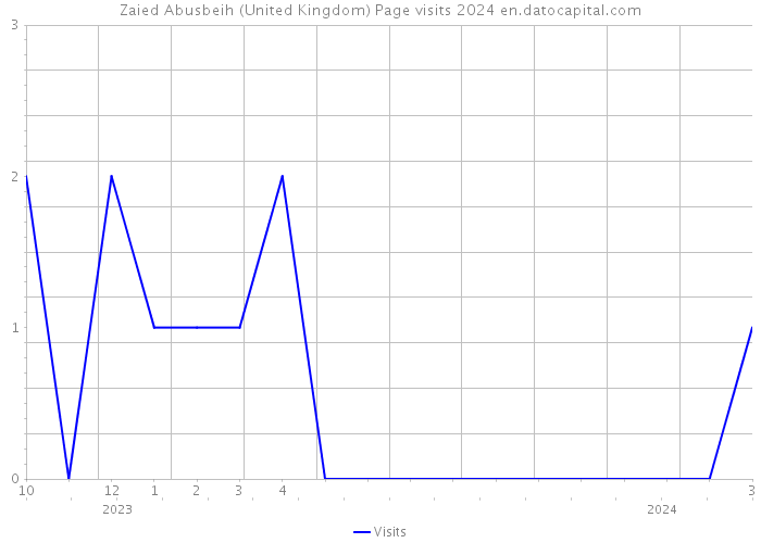 Zaied Abusbeih (United Kingdom) Page visits 2024 