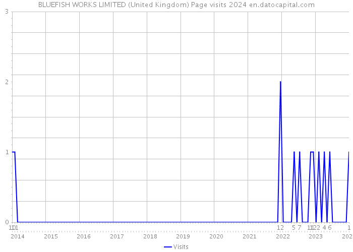 BLUEFISH WORKS LIMITED (United Kingdom) Page visits 2024 
