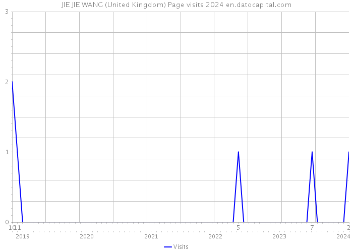 JIE JIE WANG (United Kingdom) Page visits 2024 