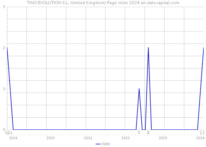 TINO EVOLUTION S.L. (United Kingdom) Page visits 2024 