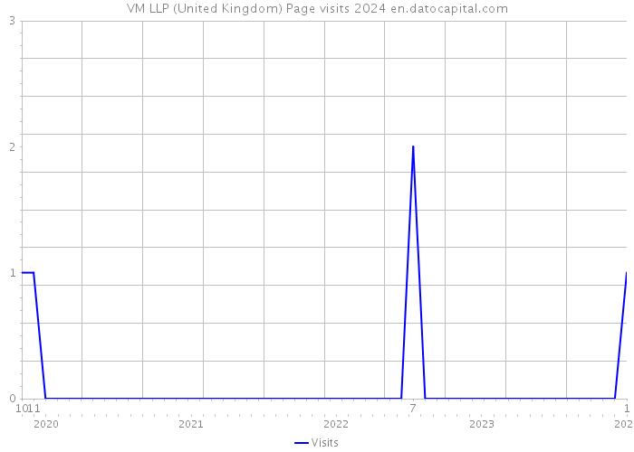 VM LLP (United Kingdom) Page visits 2024 