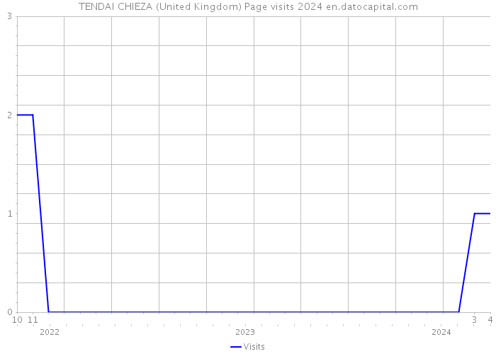 TENDAI CHIEZA (United Kingdom) Page visits 2024 