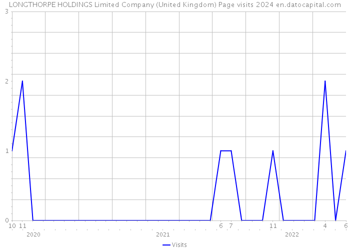 LONGTHORPE HOLDINGS Limited Company (United Kingdom) Page visits 2024 