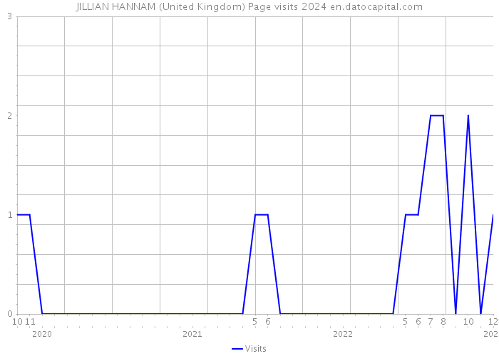 JILLIAN HANNAM (United Kingdom) Page visits 2024 