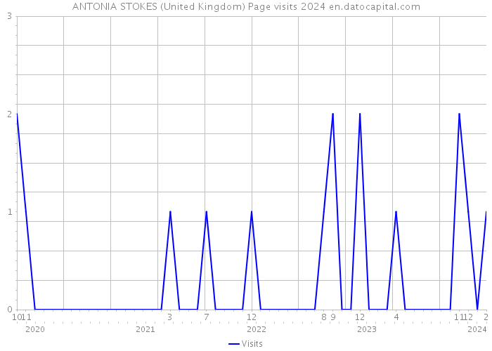 ANTONIA STOKES (United Kingdom) Page visits 2024 