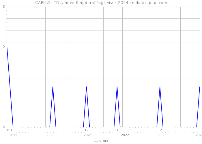 CAELUS LTD (United Kingdom) Page visits 2024 
