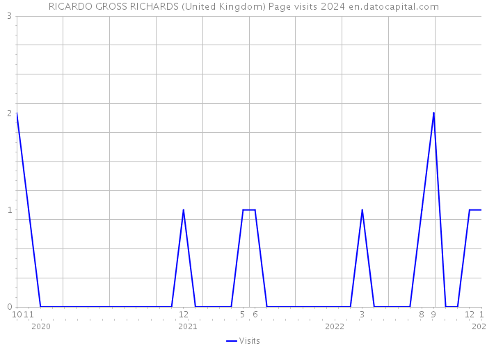 RICARDO GROSS RICHARDS (United Kingdom) Page visits 2024 