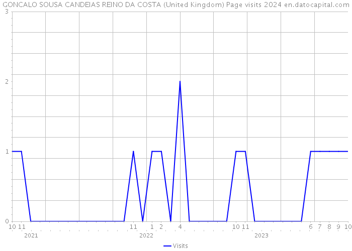 GONCALO SOUSA CANDEIAS REINO DA COSTA (United Kingdom) Page visits 2024 